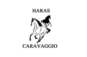 Logotipo da marca Haras Caravaggio, marca registrada disponível para compra no INPI, focada no agronegócio, criação animal e nutrição.